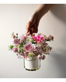枱花 02